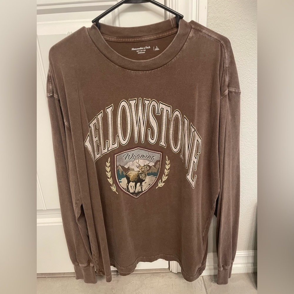 Abercrombie & Fitch Yellowstone Brown Longsleeve